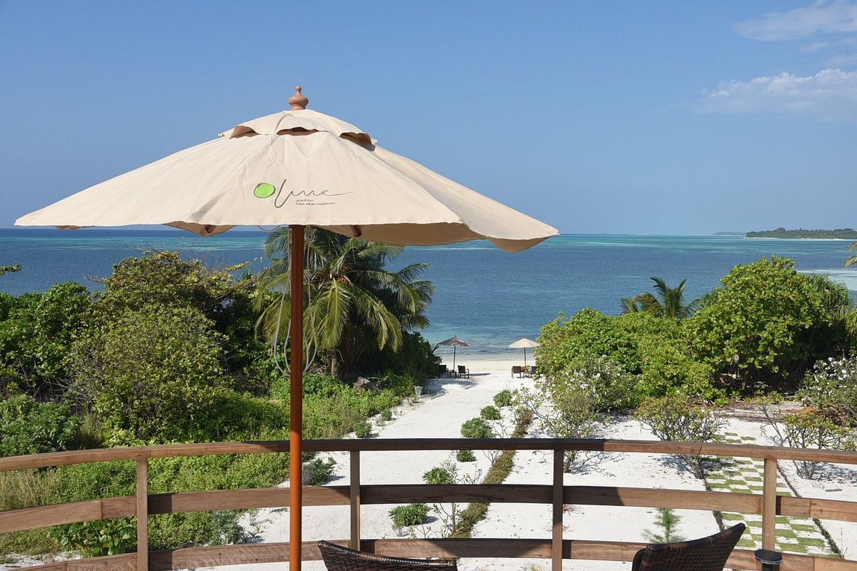 Guest House «Olive Goidhoo Guest House» фото 6
