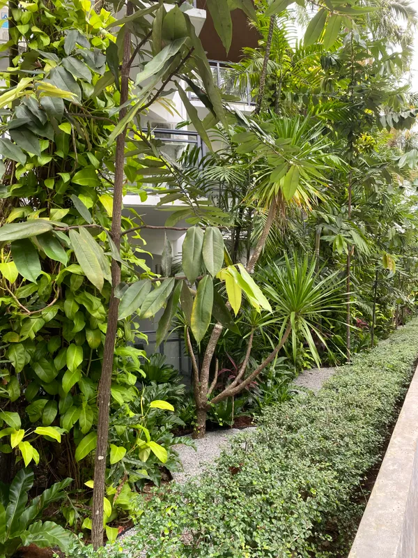 Nai Yang Beach Resort & Spa фото 50