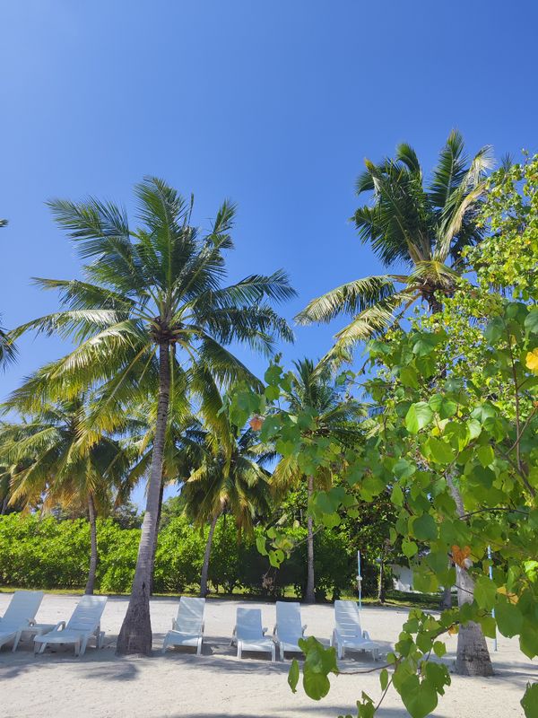Equator Village фото 39