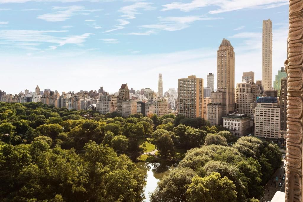 The Ritz-Carlton New York, Central Park фото 22