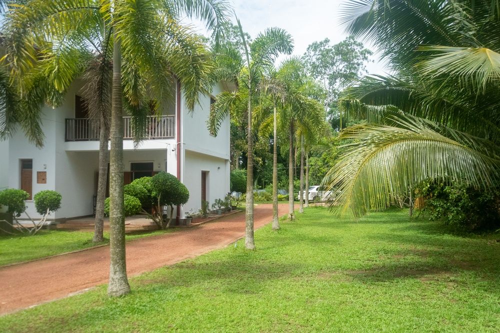 Green Edge Villa фото 54
