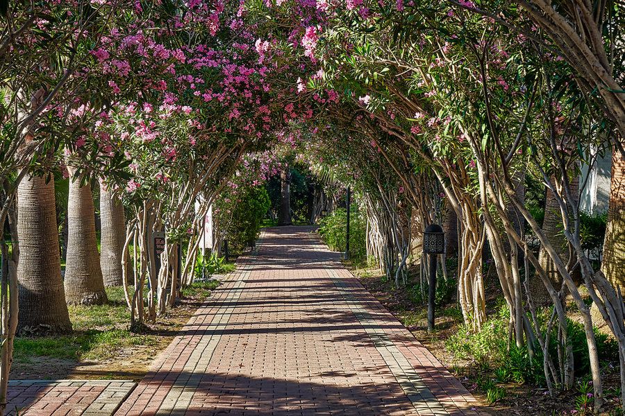 Seaden Sea World Resort & Spa фото 98