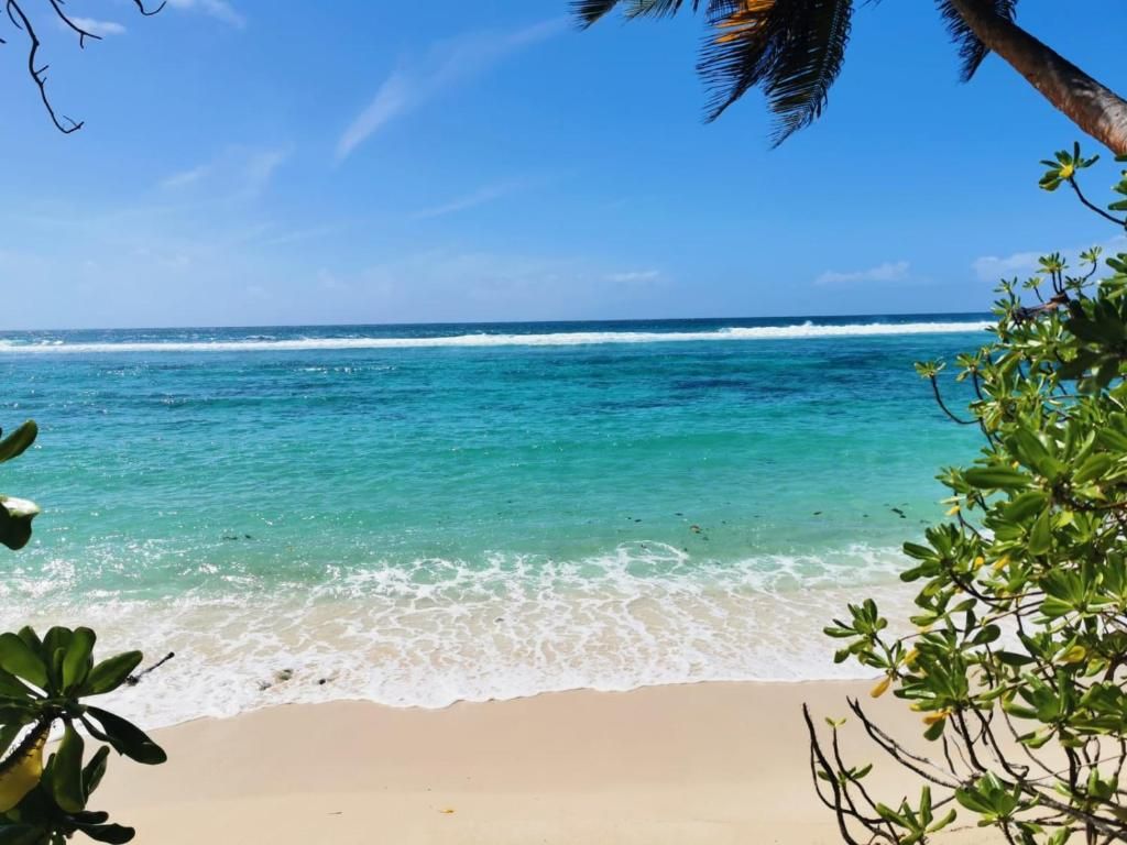 Chalets d'Anse Forbans SelfCatering фото 12