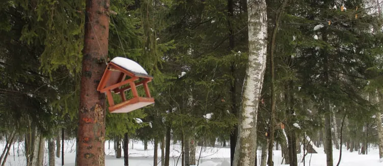 Фото отеля Shakar Palace