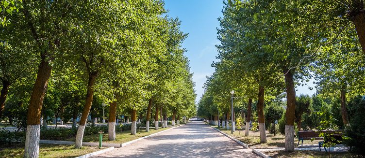Фото отеля Volna Sea Village