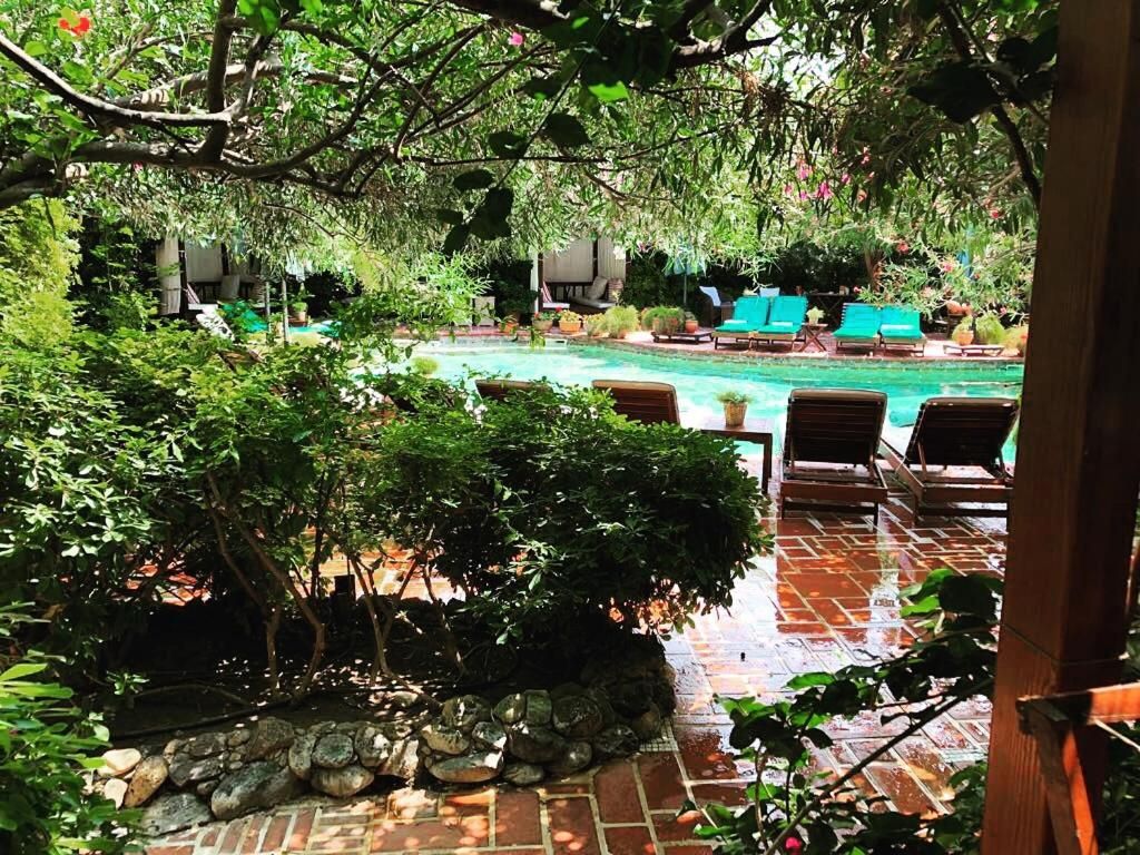 El Vino Hotel & Suites фото 42