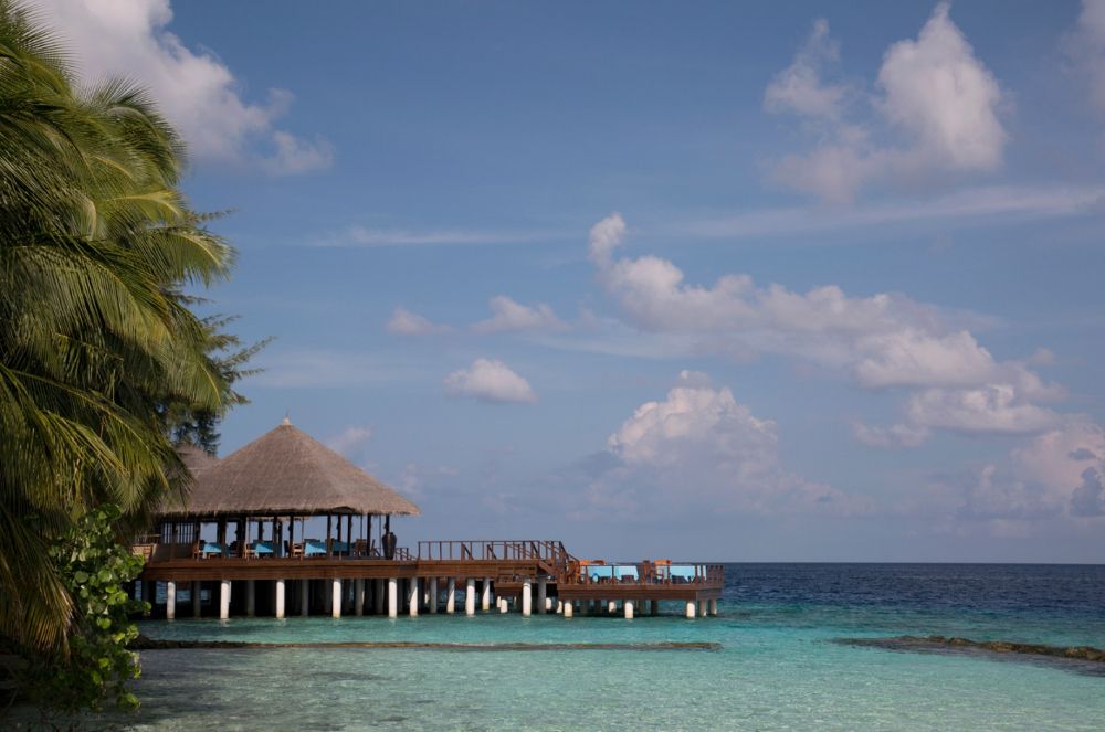 Coco Bodu Hithi фото 31