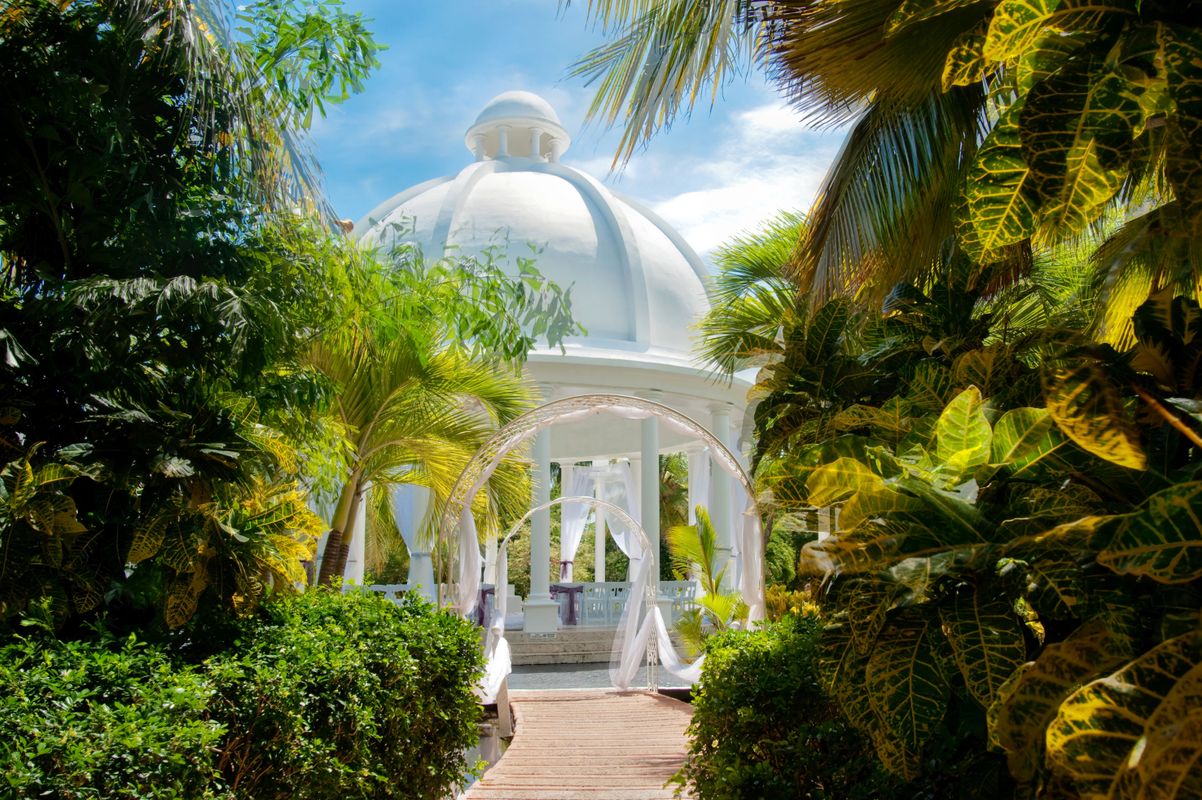 Melia Caribe Beach Resort фото 67