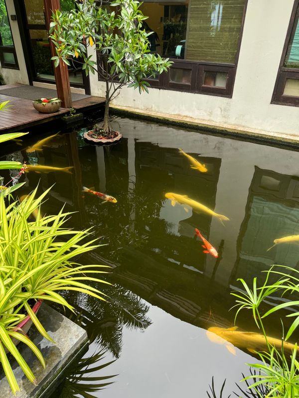 Ravindra Beach Resort & Spa фото 78