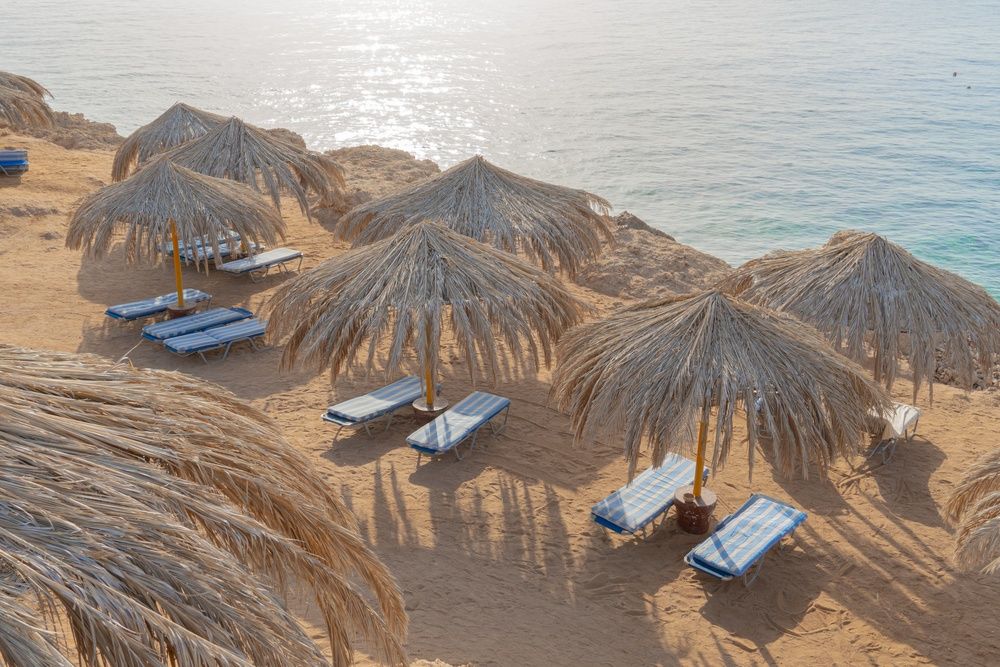 Sharm Club Beach Resort фото 229