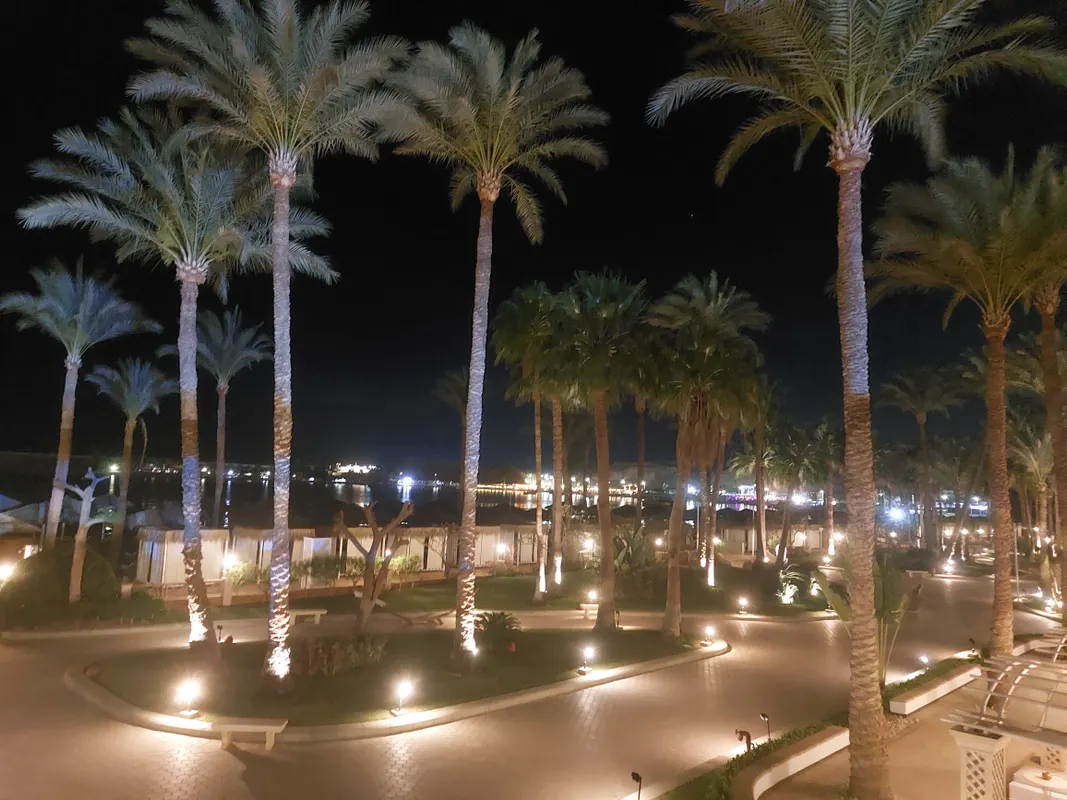 Jaz Elite Palace (Adults Only) фото 62