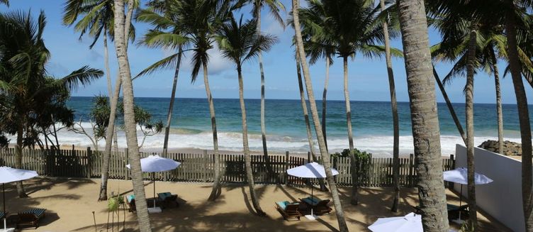 Фото отеля The Beach Hotel Oasis Bridge