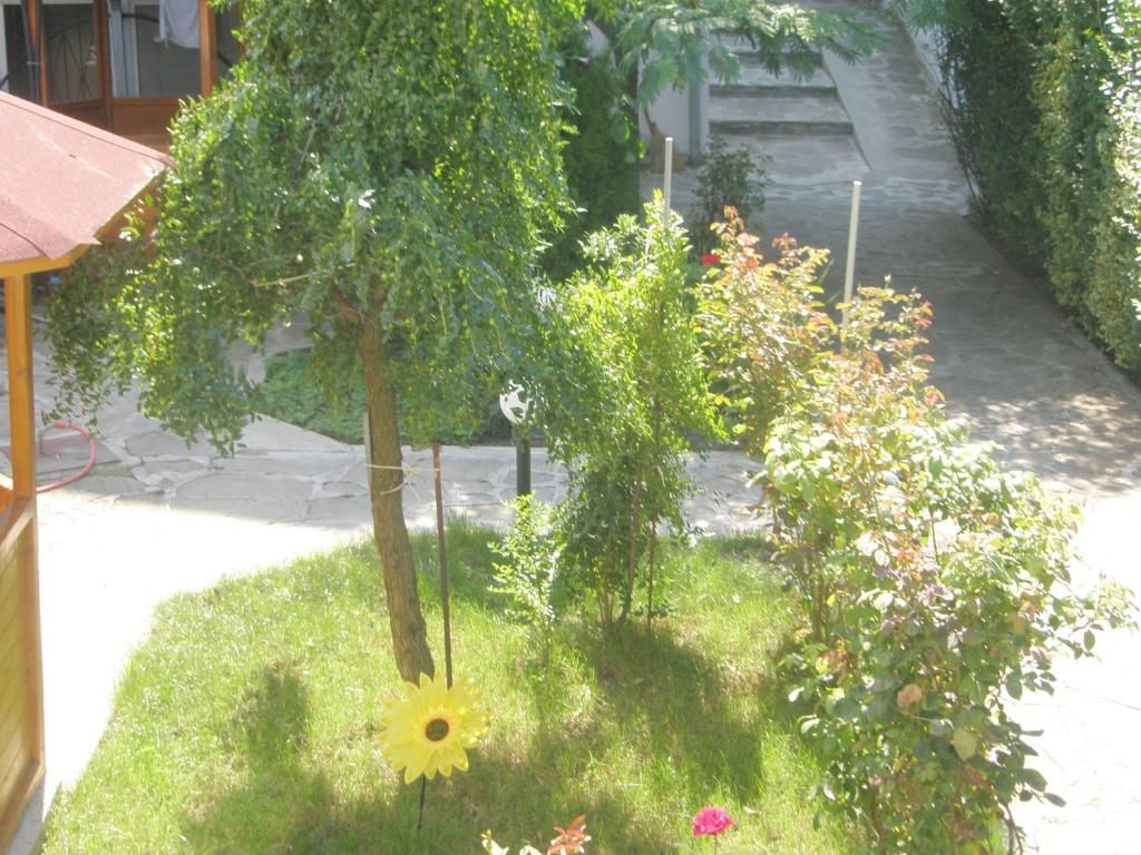 Morski Dar фото 12