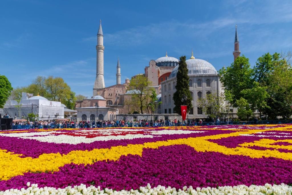 Tulip City Hotel фото 81