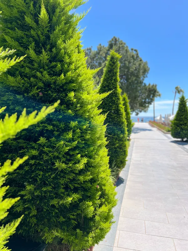 Sherwood Exclusive Kemer фото 115
