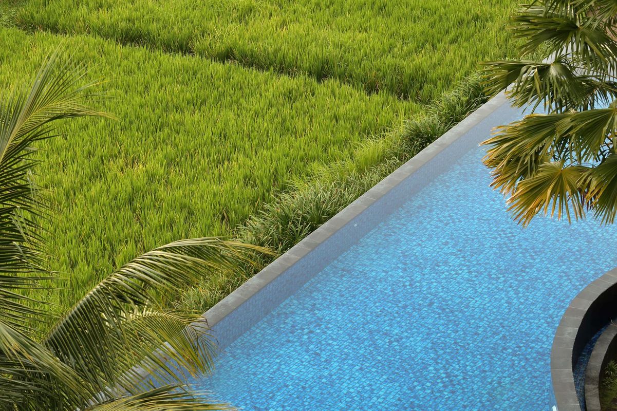 Plataran Ubud Hotel & Spa фото 38