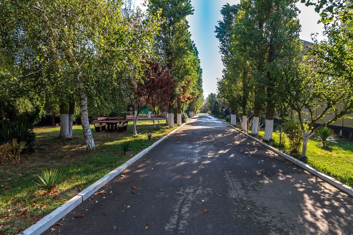 Пансионат «Азов Шинкар» фото 8
