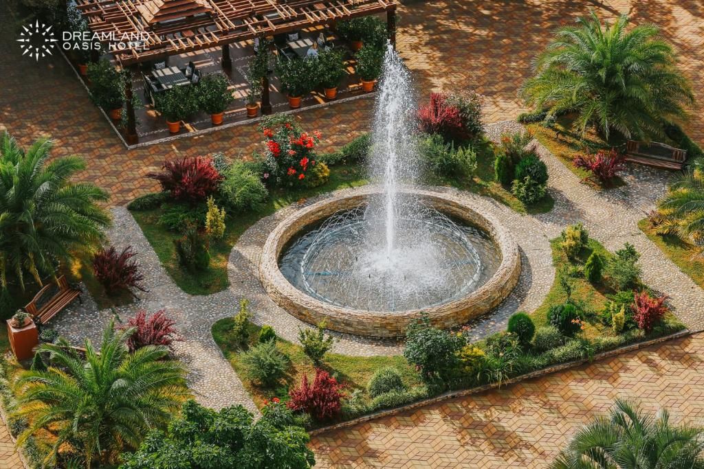 Dreamland Oasis фото 65
