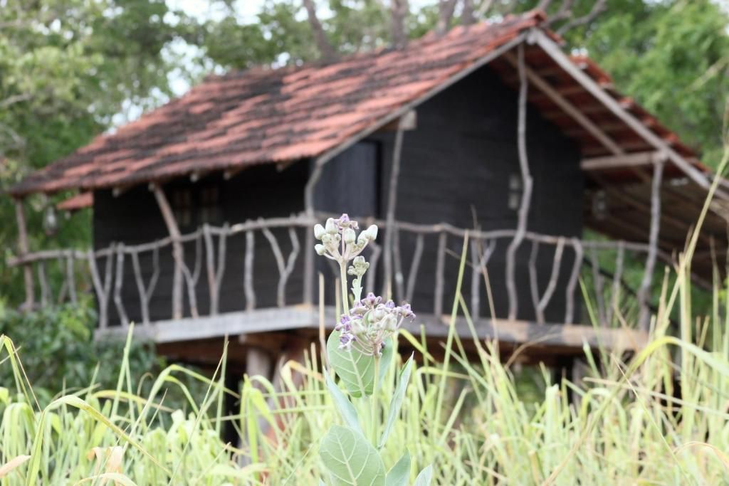 Eagle's Wings Guest House фото 2