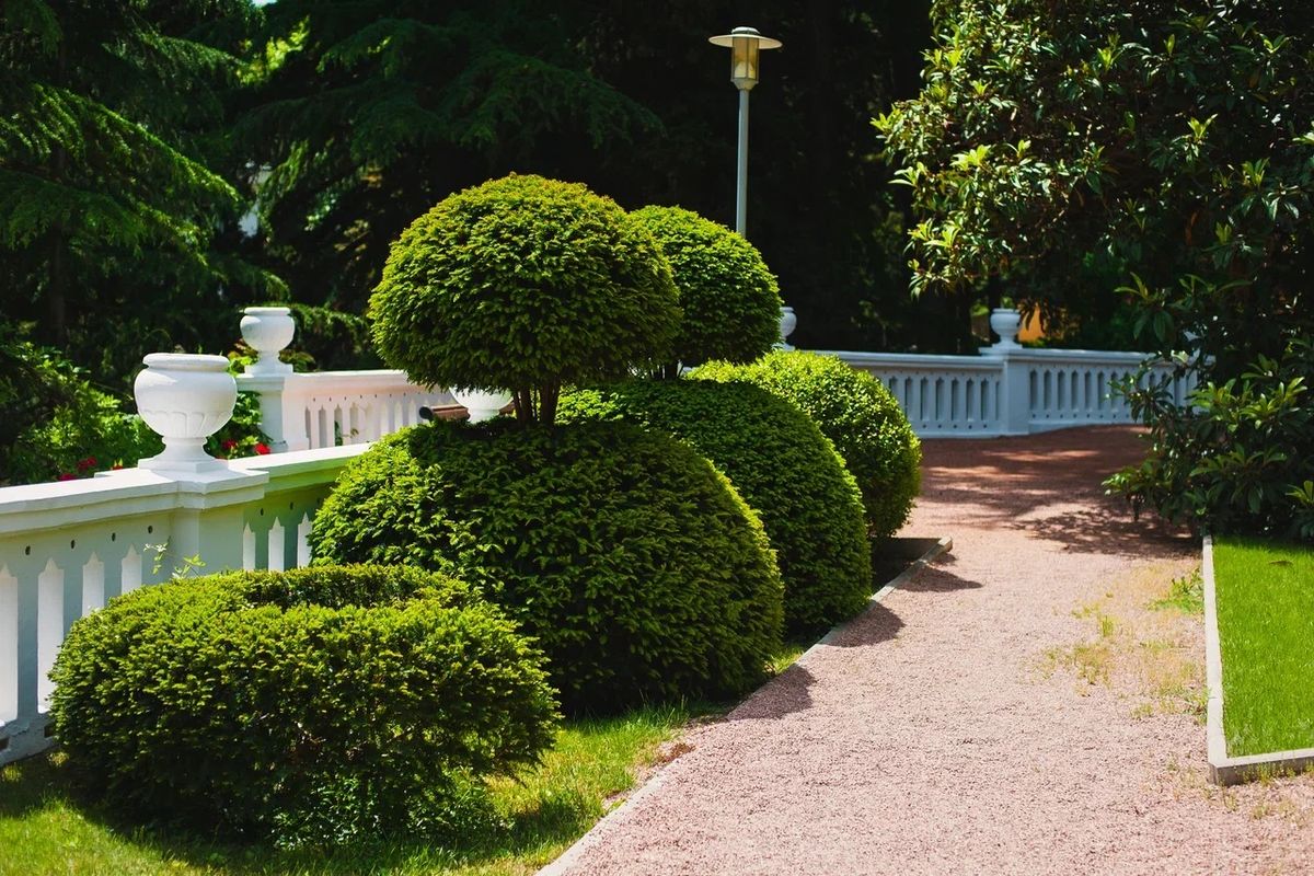 Wellness SPA Отель Море фото 188