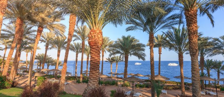 Фото отеля Grand Rotana Resort & Spa