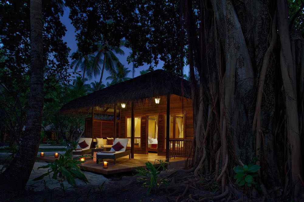 Niva Kuramathi Maldives фото 111