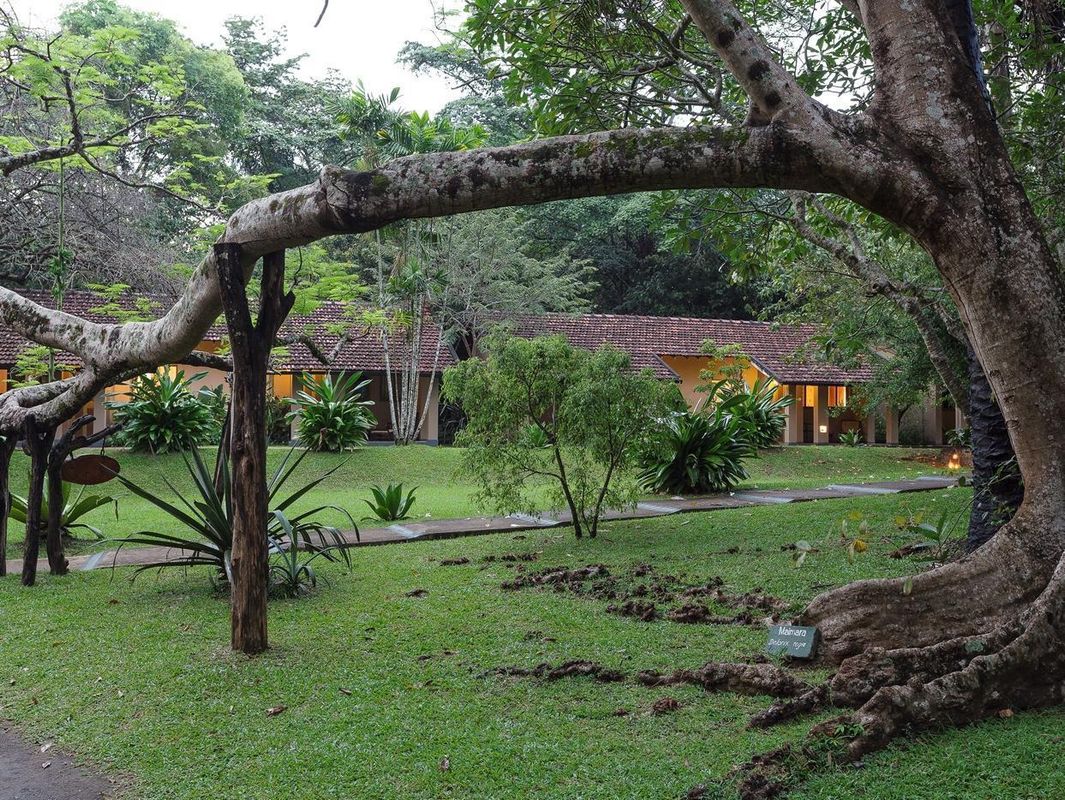 Sigiriya Village фото 10