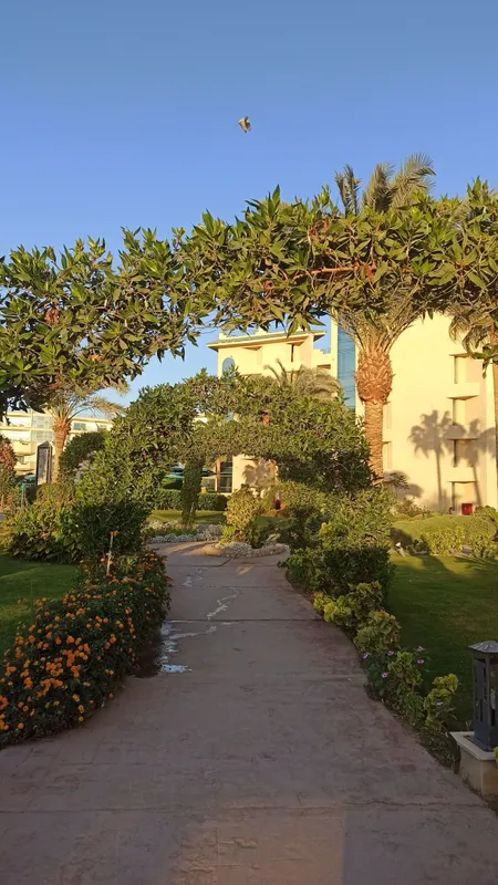 Moreno Horizon Spa & Resort фото 67