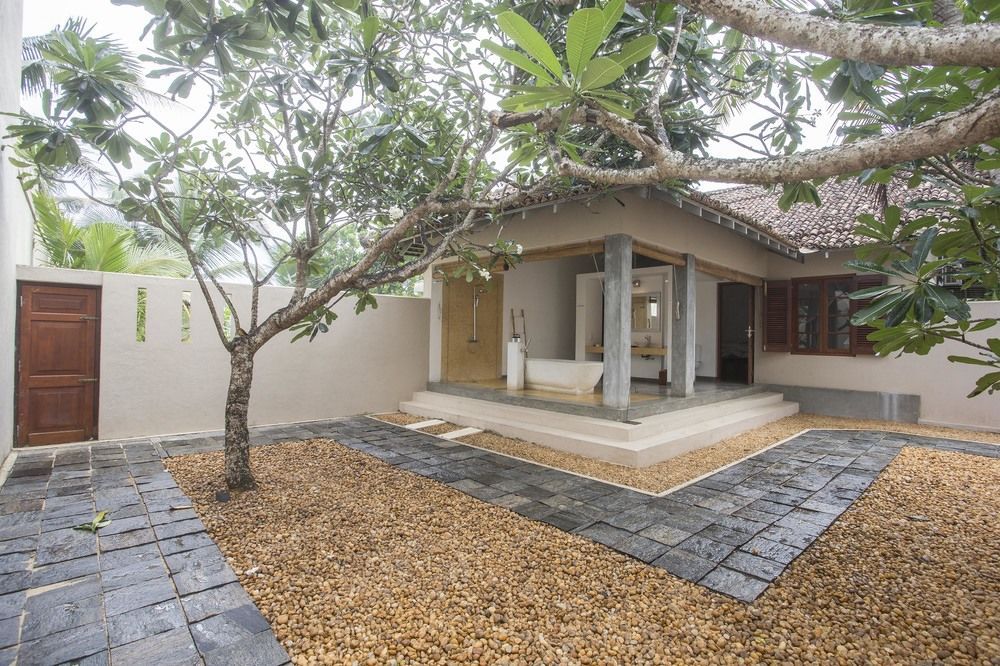 The Frangipani Tree by Edwards Collection фото 68