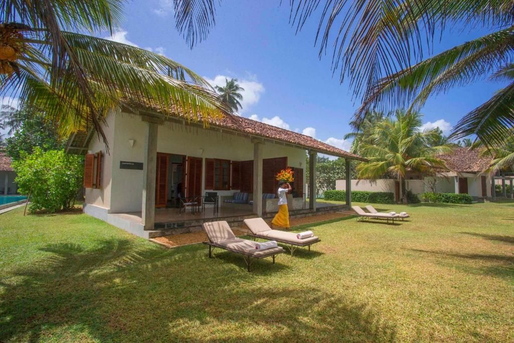 The Frangipani Tree by Edwards Collection фото 60