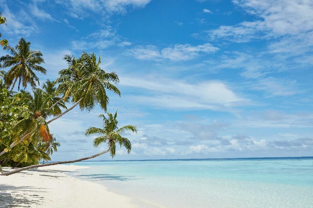 Sun Siyam Vilu Reef фото 38