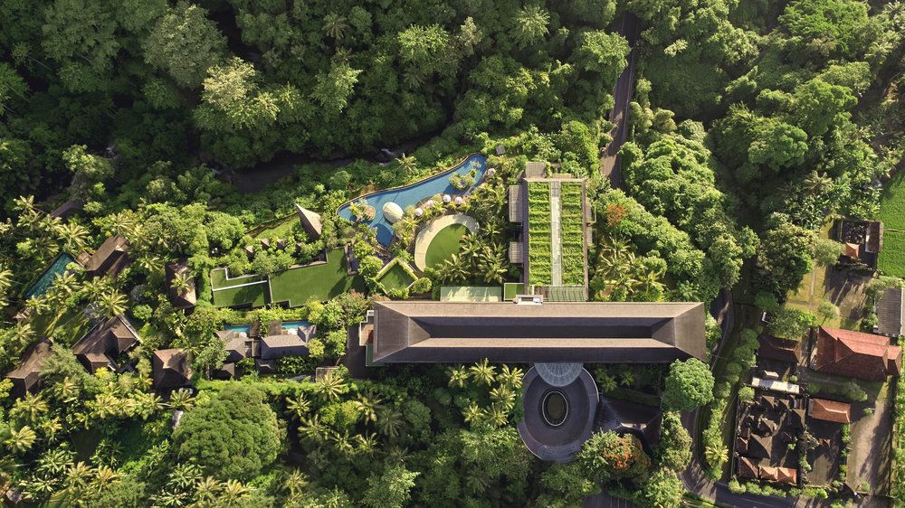 The Westin Resort & Spa Ubud фото 45