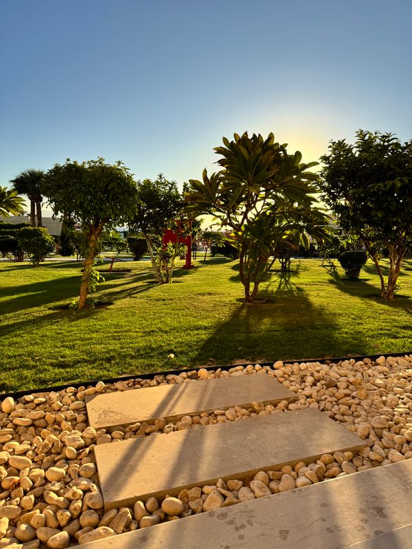 Sheraton Soma Bay Resort фото 63