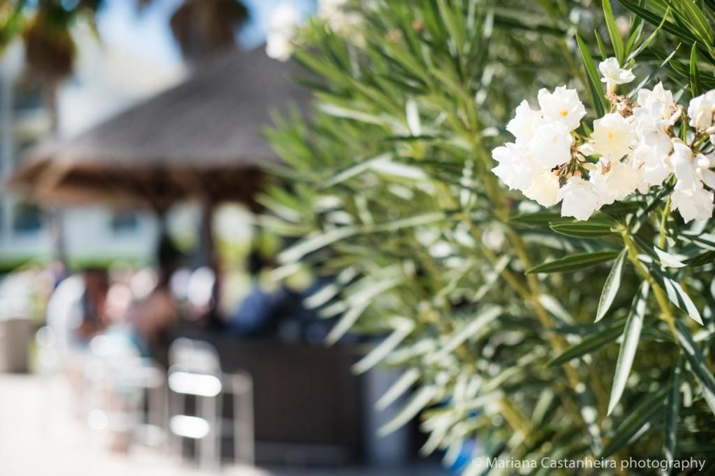 Yellow Alvor Garden - All Inclusive фото 14