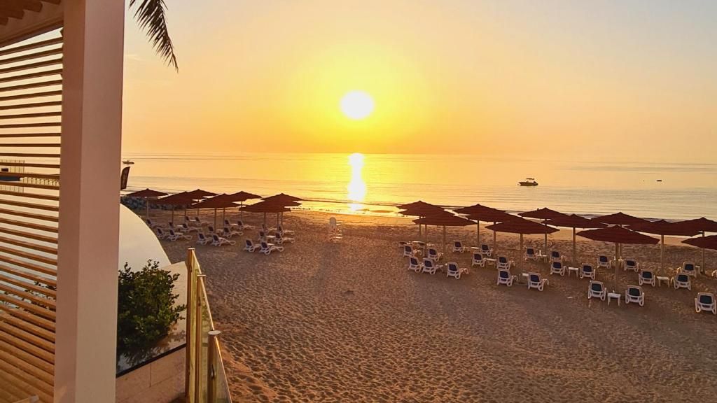 Royal M Al Aqah Beach Resort by Gewan фото 37