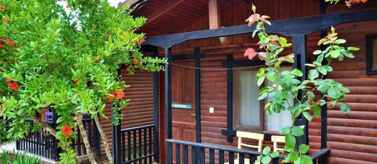 Фото отеля Koala Bungalows