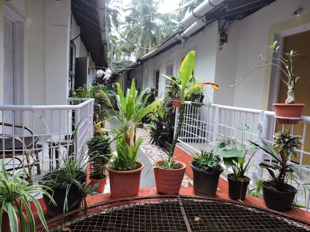 Guest House «Zappia Cove Guesthouse» фото 34
