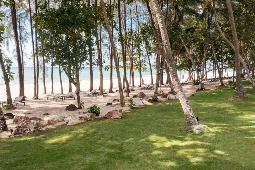Avani+ Khao Lak Resort фото 11