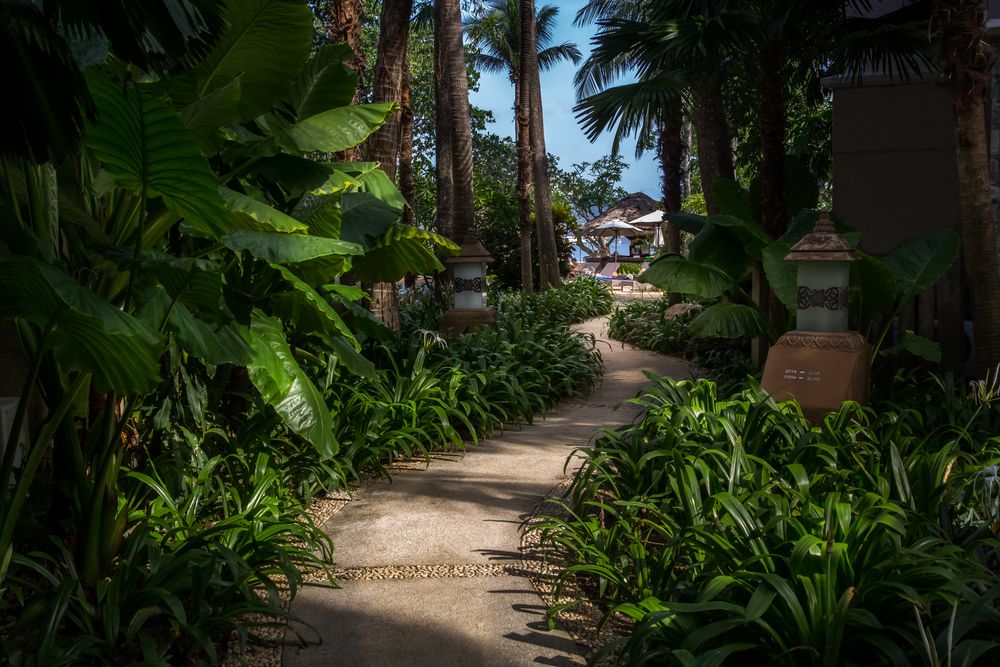 Thavorn Beach Village Resort & Spa фото 111
