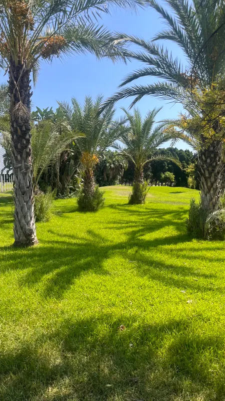 Ozkaymak Falez Hotel фото 43