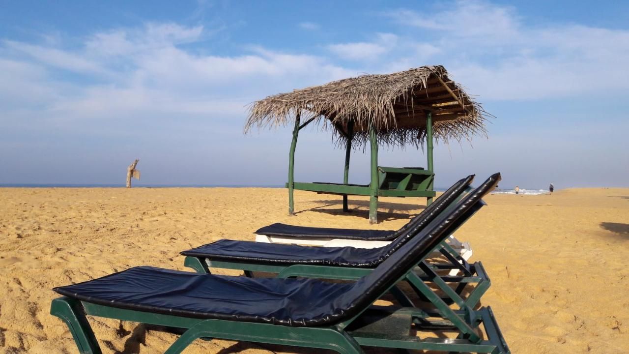 Guest House «Whitepearl Beach Guest House» фото 13