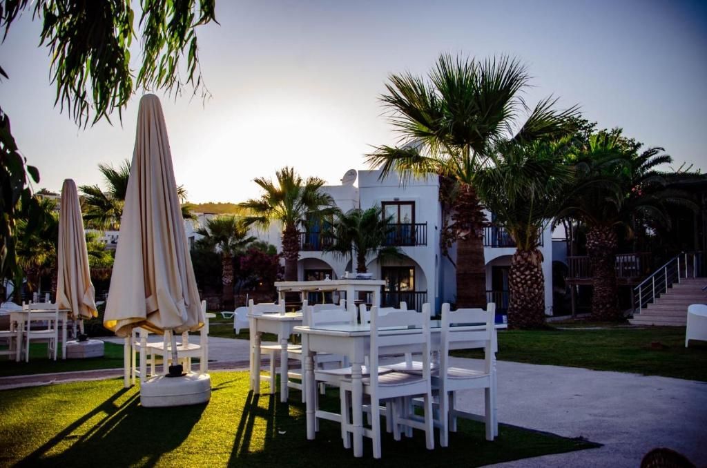 Gumbet Cove Hotel фото 3