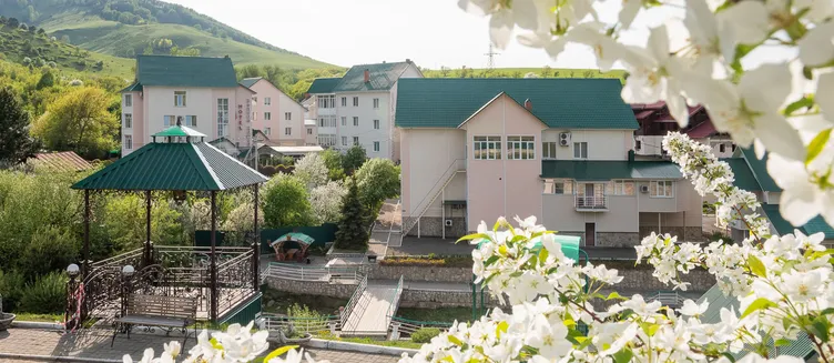 Фото отеля Санаторий «Долина Алтая»