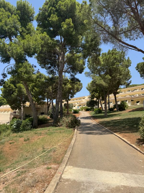 Citta del Mare Hotel Village фото 6
