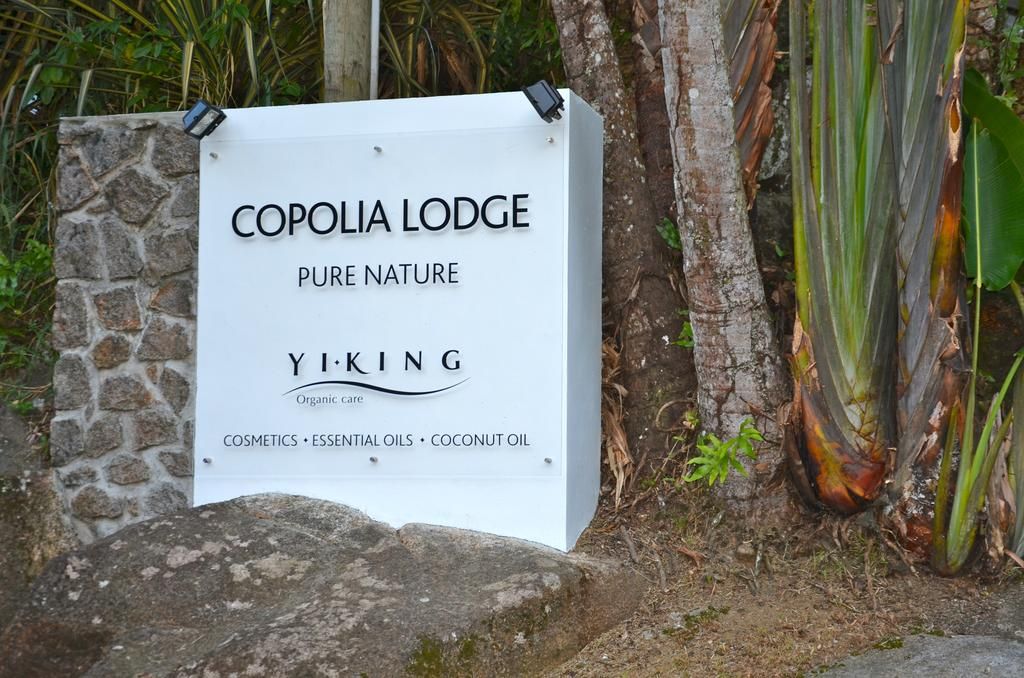 Copolia Lodge фото 12