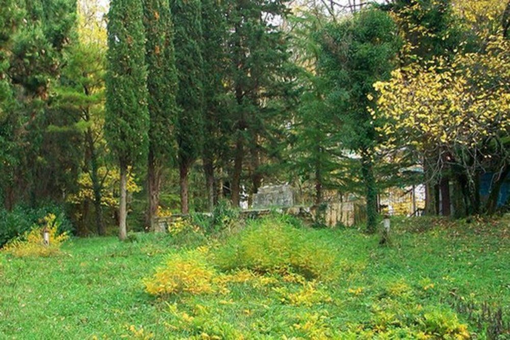 Пансионат «Гизель-Дере» фото 15