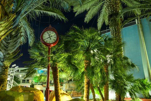 Club Hotel Eilat фото 97