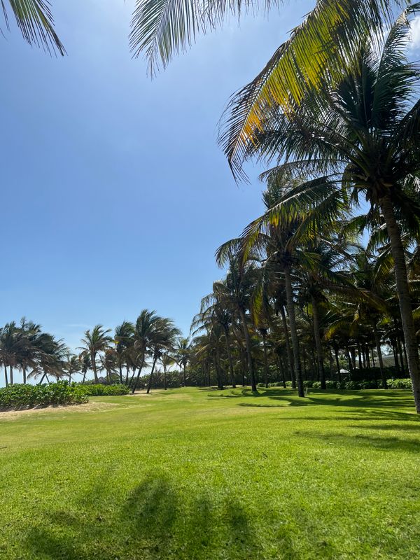 Selectum Noa Resort Cam Ranh фото 70