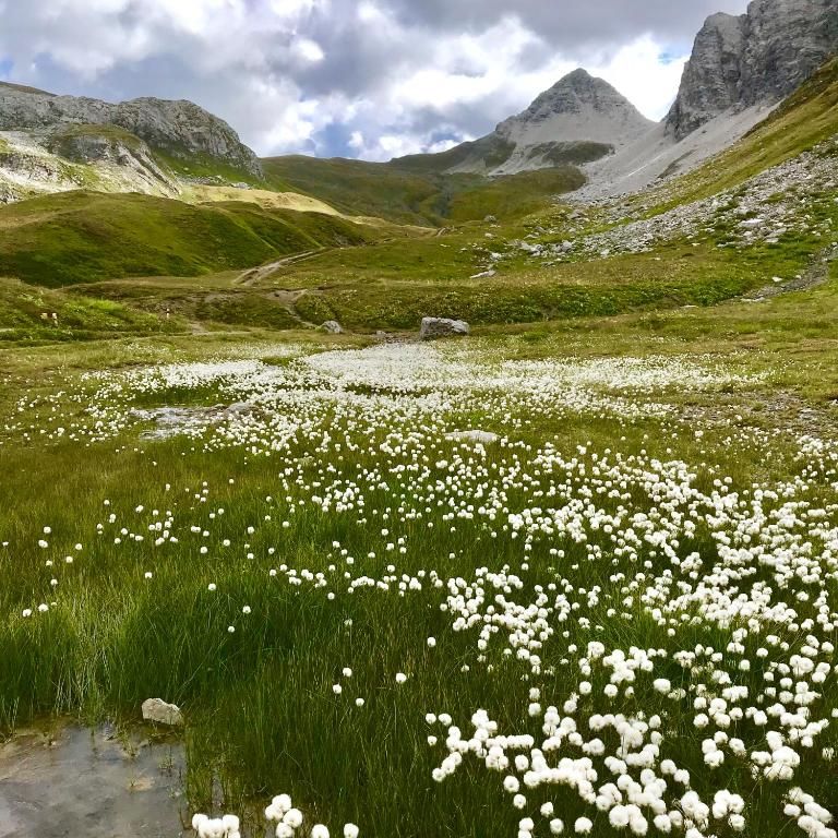Kristiania Lech фото 36