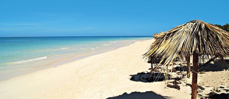 Фото отеля Valentin Perla Blanca (Adults Only)